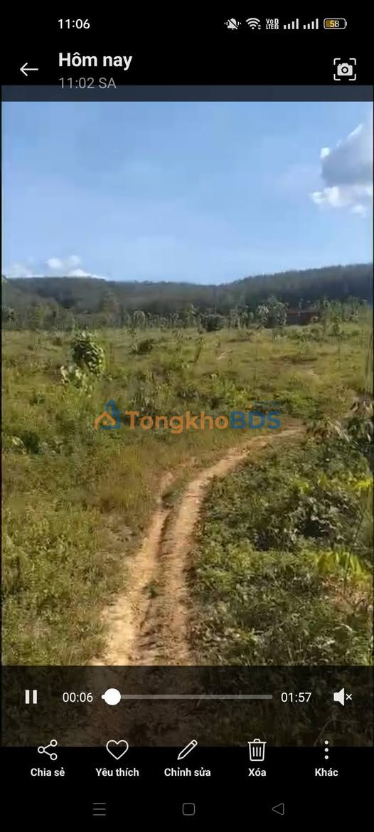 Đất vườn cao su Đồng Tâm 7ha giá 7 tỷ - Sinh thái xanh