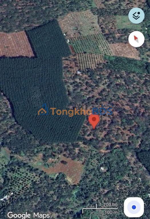 Đất sào Tân Hưng Đồng Phú 2520m² - Pháp lý rõ ràng