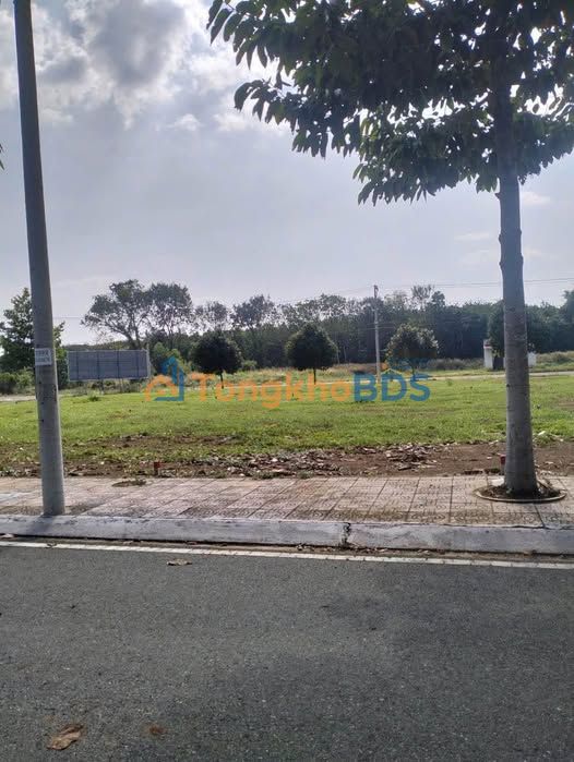 Đất thổ cư KCN Tân Lập 130m² - Sổ hồng riêng giá 600 triệu