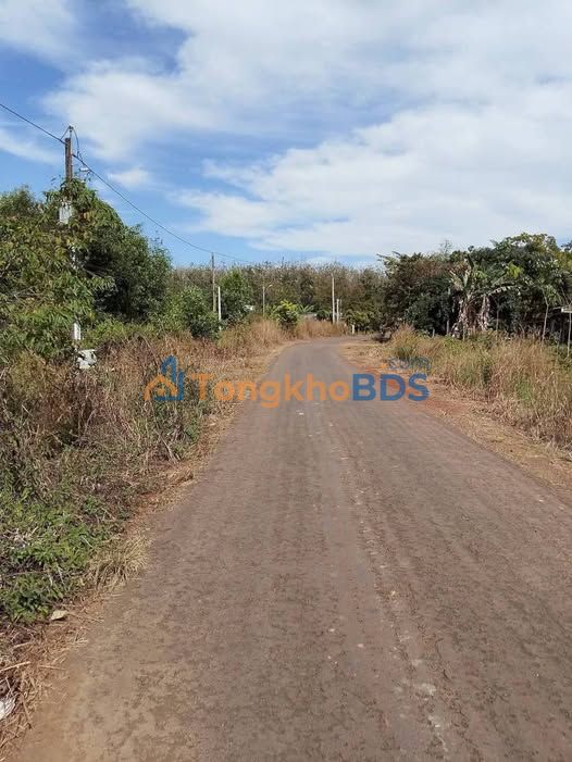 Đất thổ cư Tân Phước 520m² giá 900 triệu - Đường nhựa 29m