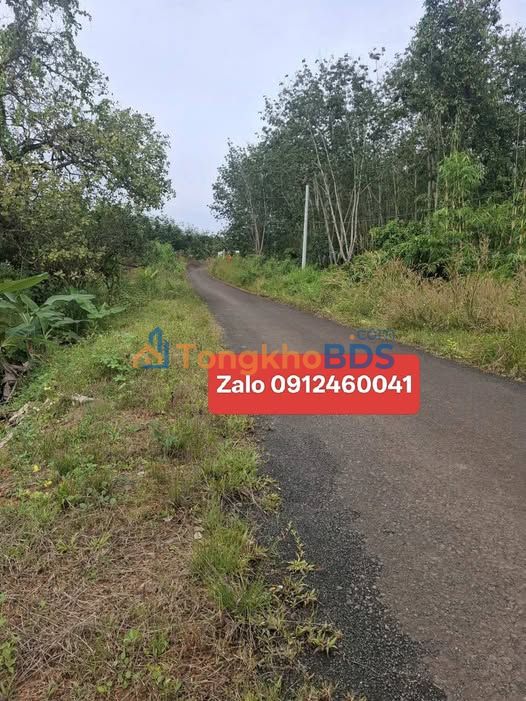 Đất nền Tân Phước Đồng Phú 960m² - Pháp lý rõ ràng