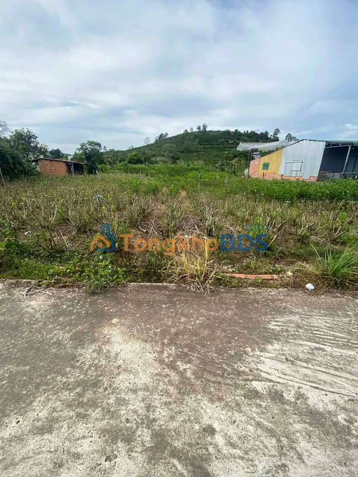 Đất nền Tân Văn Lâm Hà 450m² - Pháp lý rõ ràng giá tốt