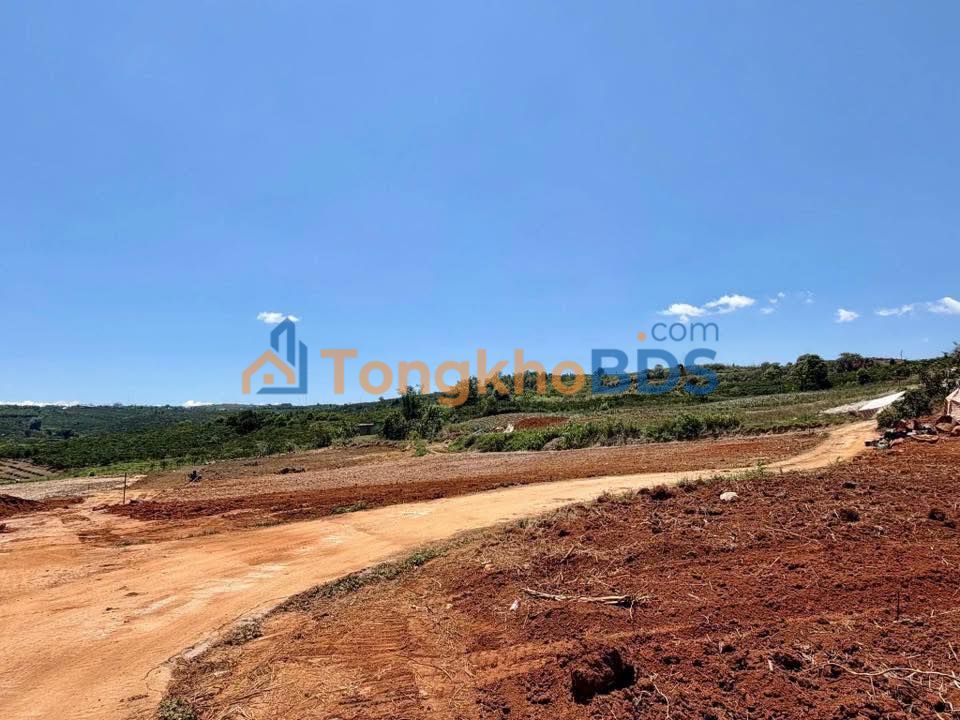 Đất nền Tân Văn Lâm Hà 1000m² giá 699 triệu - Tiềm năng tăng giá