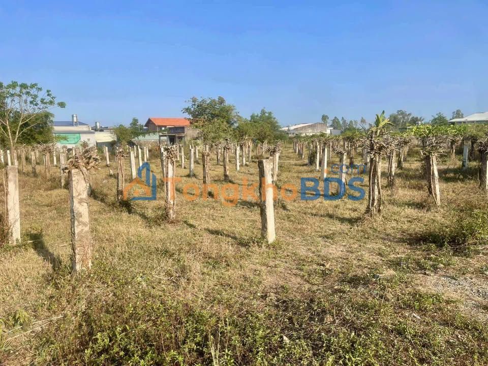 Đất sào thổ cư Tân Văn Lâm Hà 2765m² - Pháp lý rõ ràng