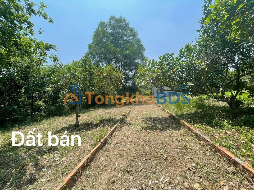 Đất vườn An Nhơn Tây Củ Chi 1213m² - Nghỉ dưỡng lý tưởng