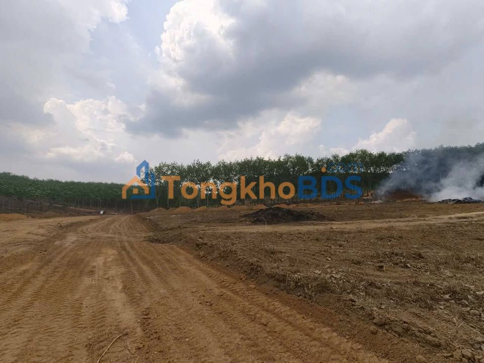 Đất sào Tân Lợi Đồng Phú 1000m² - Pháp lý rõ ràng