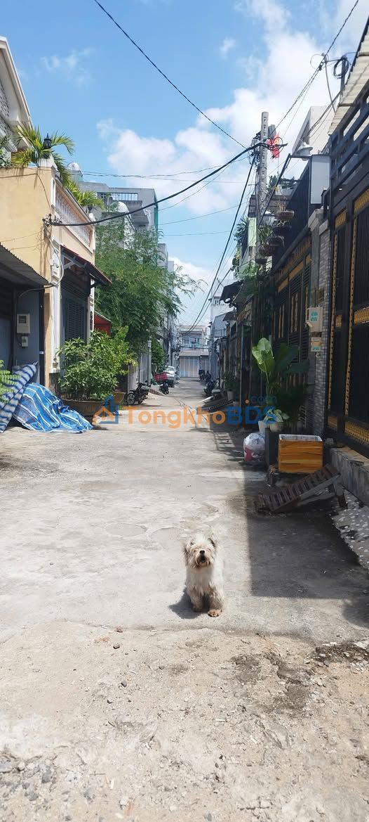 Đất nền Phong Phú Bình Chánh 127m² - Sổ hồng chính chủ