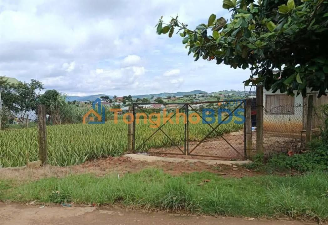 Đất nền Quảng Lập Đơn Dương 1000m² - Pháp lý rõ ràng