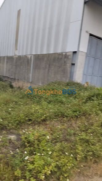 Đất nền Nam Giang Nông Cống 100m² - Đường ô tô tránh