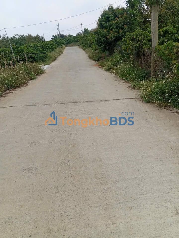 Đất vườn Lộc Bắc Bảo Lâm 6.5 xào giá 3.575 tỷ - Tiềm năng đầu tư