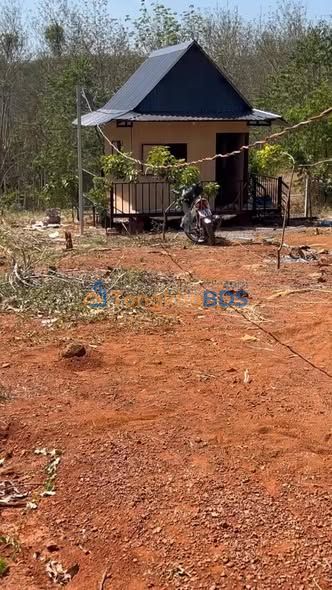 Đất vườn Tân Hưng Đồng Phú 1.044m² giá 5xx triệu - Nghỉ dưỡng lý tưởng!