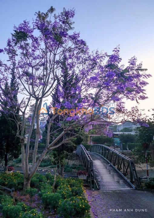 Nhà mặt tiền Bon Dơng Lạc Dương 117m² ô tô vào tận nhà