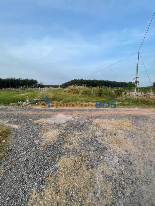 Đất vườn Ninh Thạnh 4.600m² - Nghỉ dưỡng lý tưởng