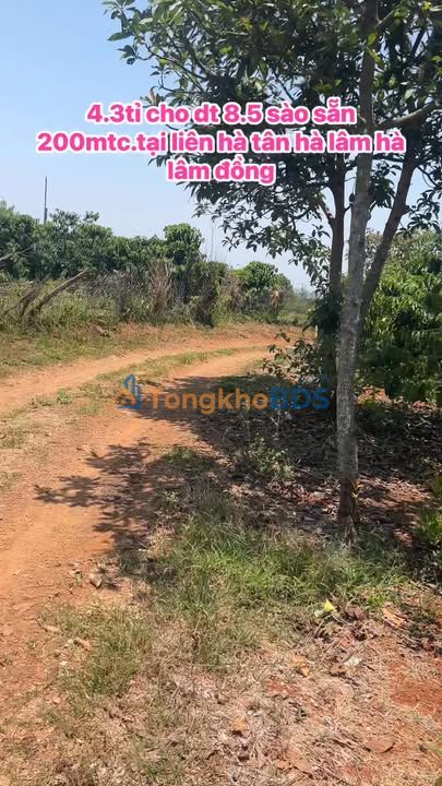 Đất vườn Liên Hà Lâm Hà 3060m² giá 4.3 tỷ - Tiềm năng tăng giá