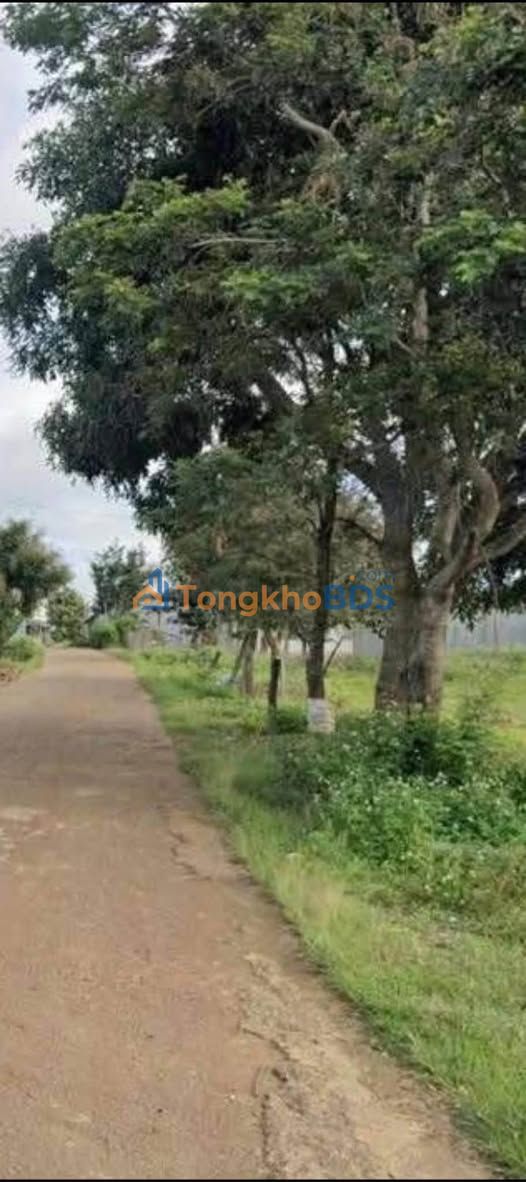 Đất nền Quảng Lập Đơn Dương 1235m² giá 1,3 tỷ - Sổ đỏ chính chủ