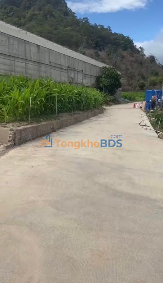 Đất nghỉ dưỡng Thạnh Mỹ 434m² 1.1 tỷ - Giá đầu tư tốt