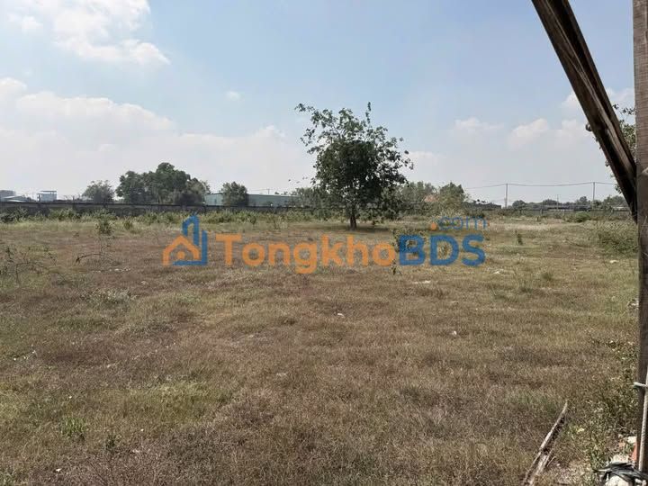 Kho bãi cho thuê Xuân Thới Sơn 4500m² - Container thoải