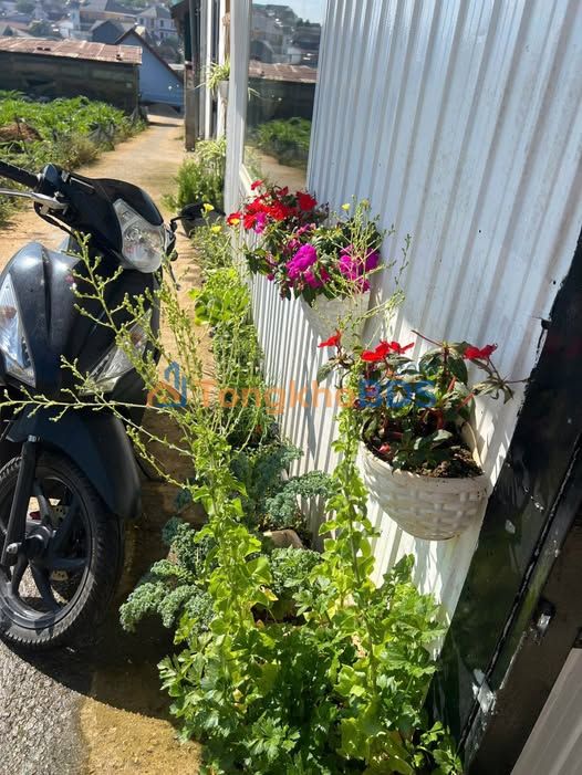 Nhà riêng Cách Mạng Tháng 8 Đà Lạt 8 triệu - Gần hồ Xuân Hương