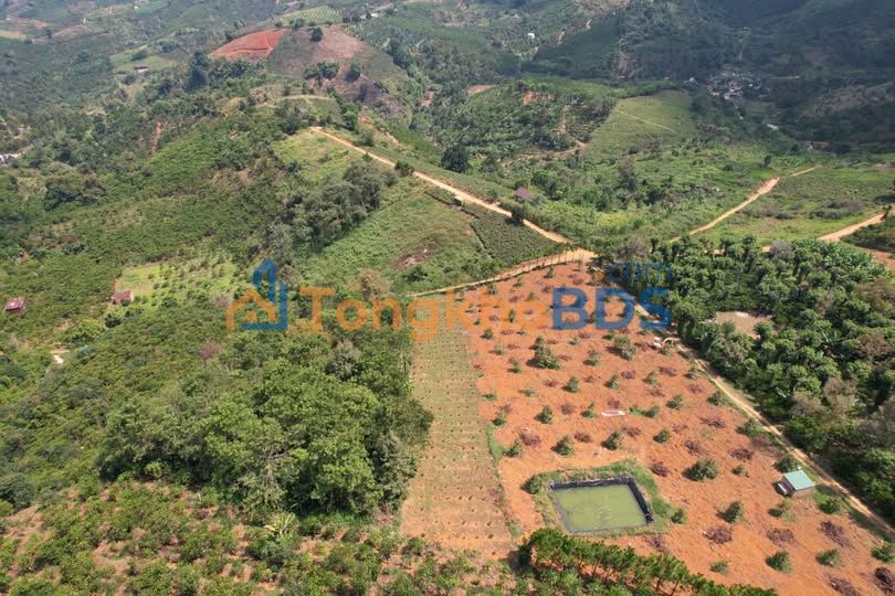 Đất vườn Lộc Thanh Bảo Lộc 1011m² - Nghỉ dưỡng lý tưởng