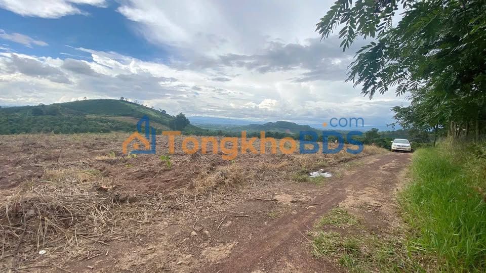 Đất nền Ninh Gia Đức Trọng 8554m² - Tiềm năng tăng giá