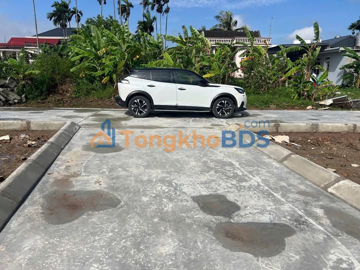 Đất thổ cư Thôn Phương Hạ An Lão 60m² - Sổ đỏ chính chủ