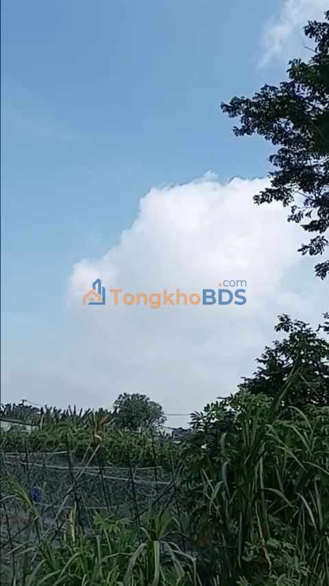 Đất nền Tân Thông Hội Củ Chi 1340m² giá 13.4 tỷ - Sổ đỏ chính chủ