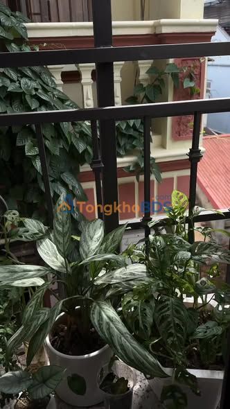 Căn hộ mini Giáp Bát 25m² - Bàn giao ngay, full đồ