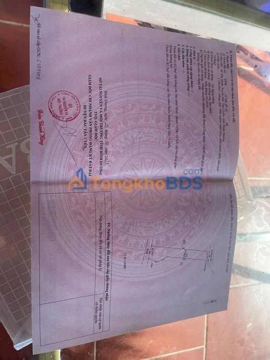 Đất nền Tân Định, Bắc Tân Uyên 1190m² giá 850 triệu - Tiềm năng tăng giá cao!