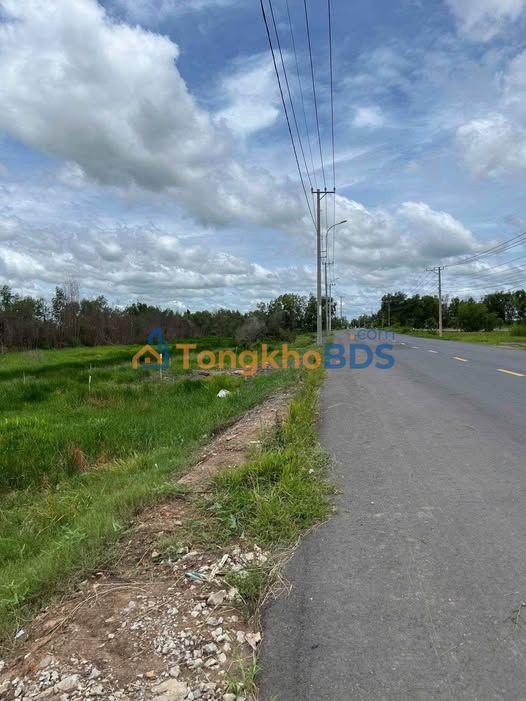 Đất nền Thái Mỹ Củ Chi 6.564m² – Tiềm năng tăng giá