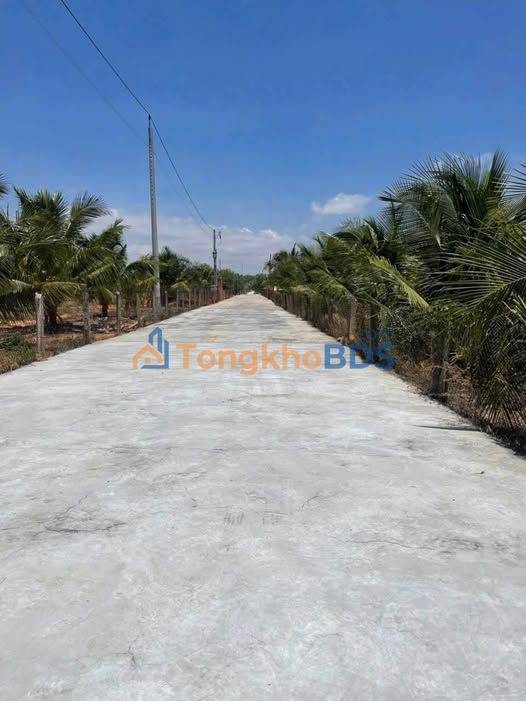 Đất nền Mũi Né Phan Thiết 2.000m² - Sổ hồng riêng, giá đầu tư cực tốt!