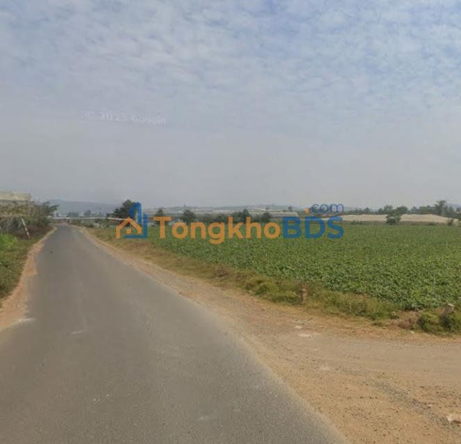 Đất vườn Quảng Lập 1000m² giá 900 triệu - Nghỉ dưỡng lý tưởng