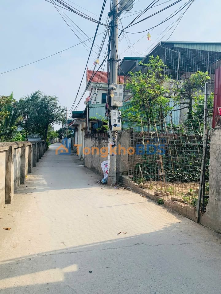 Đất thổ cư Phượng Mỹ 64,4m² đường ô tô, tiềm năng tăng giá
