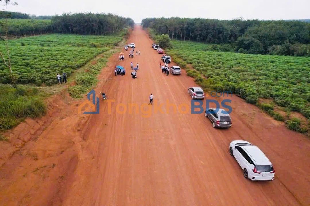 Đất nền Tân Lập Đồng Phú 429m² giá 199 triệu - Pháp lý rõ ràng