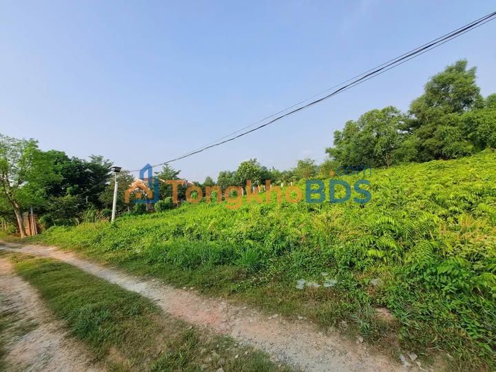 Đất lúa Thái Mỹ Củ Chi 2332m² - Tiềm năng tăng giá cao