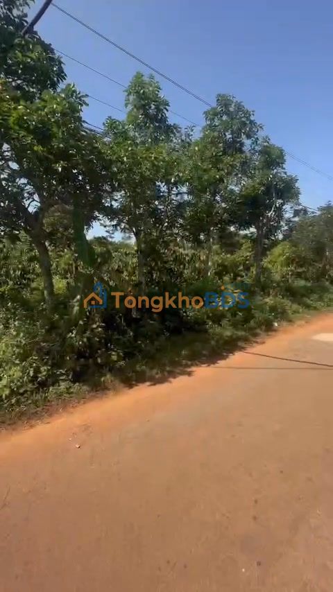 Đất vườn Thuận Hà Đắk Song 1080m² sinh thái xanh