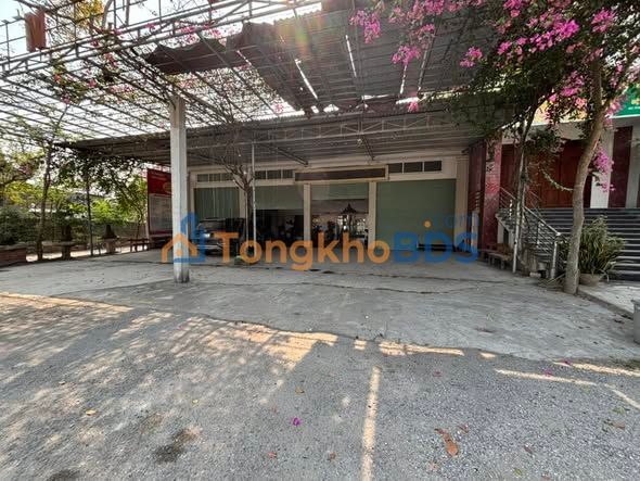 Mặt bằng kinh doanh QL1A Quỳnh Lưu 1200m² - Mặt tiền kinh doanh