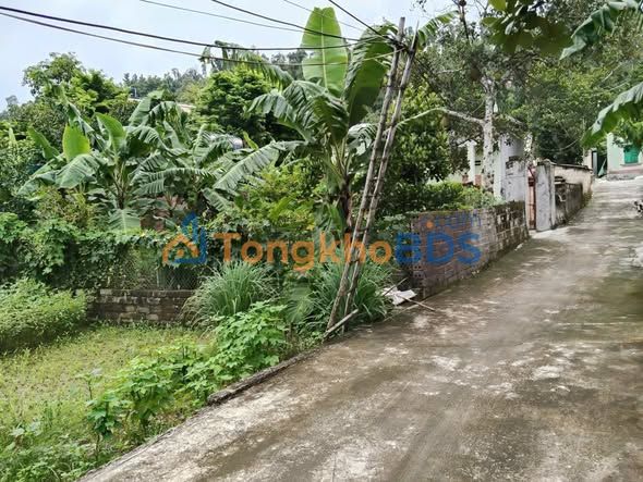 Đất nền Thủy Nguyên 114m² giá 6xx triệu - Tiềm năng tăng giá cao!