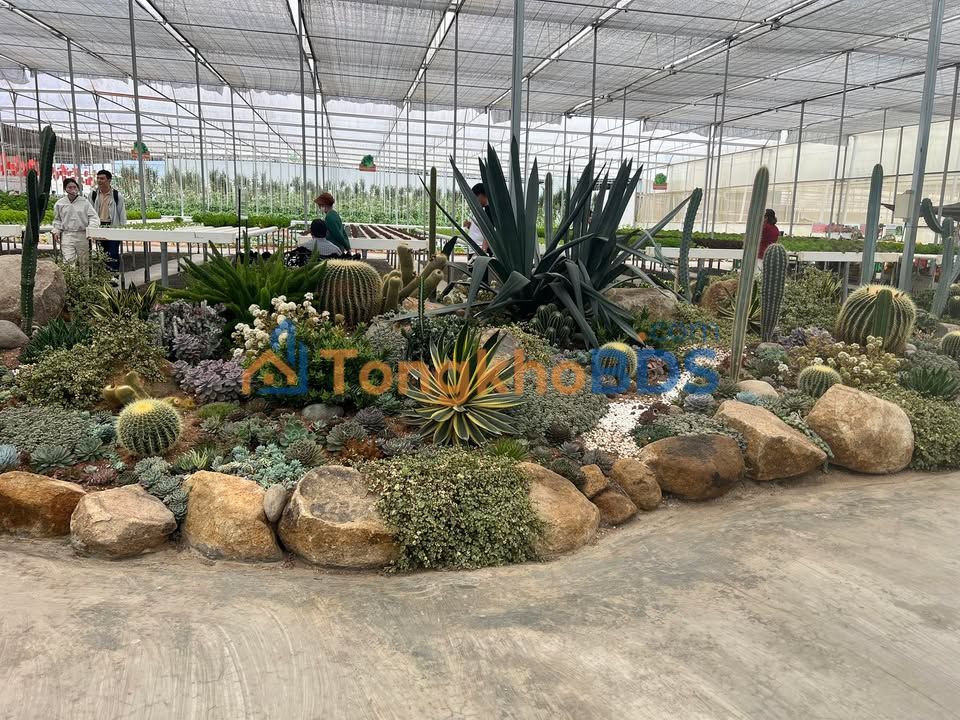 Đất thổ cư mặt tiền QL28 Ma Lâm 153m² - Đất thổ cư 100%