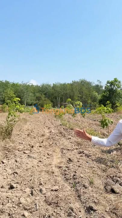 Đất vườn Nha Bích 1ha view hồ Phước Hòa sinh thái