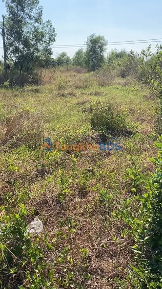 Đất vườn thổ cư Hàm Cường 805m² - Đường to ô tô