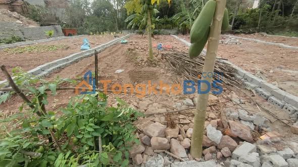 Đất nền Nham Biền, Bắc Giang 103m² giá 1,95 tỷ - Sổ đỏ chính chủ