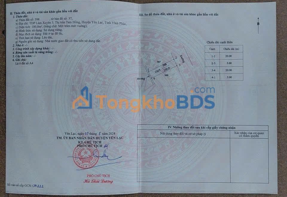 Đất đấu giá Tam Hồng Yên Lạc 100m² - Tiềm năng tăng giá