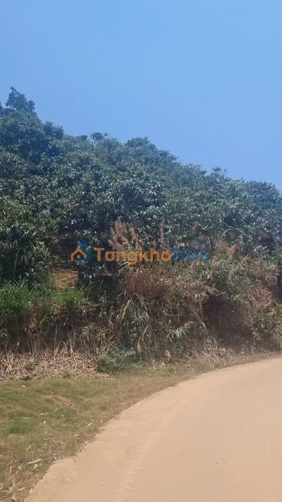 Đất farm Phi Tô Lâm Hà 2ha - Nghỉ dưỡng lý tưởng