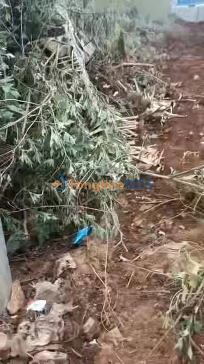 Cho thuê đất mặt tiền Đặng Trần Côn Pleiku 500m² - Đường to ô tô