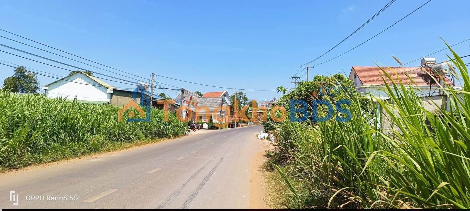 Đất nền DH12 Tu Tra 336m² giá 200 triệu/m - Tiềm năng tăng giá