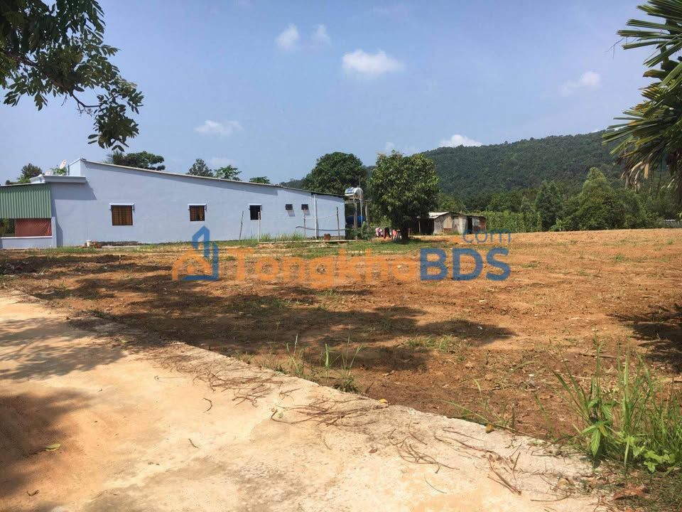 Đất thổ cư Minh Thành 500m² giá 495 triệu - Đường ô tô