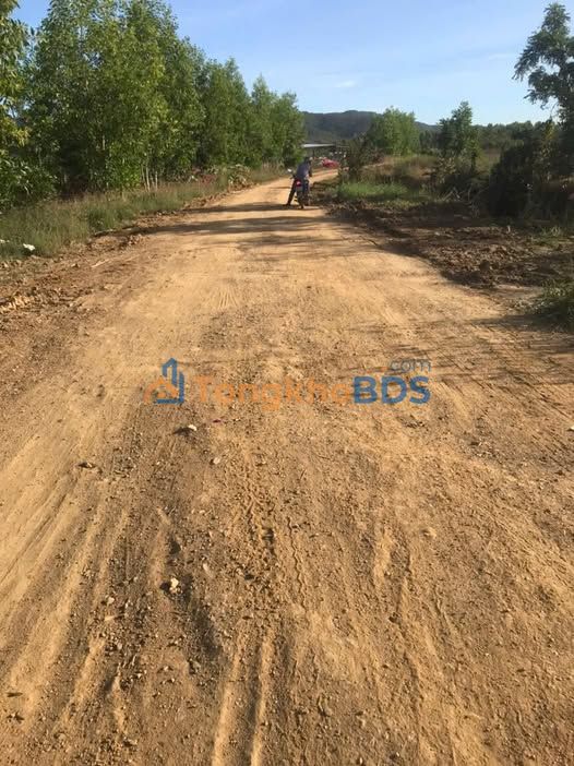 Đất vườn Sông Lũy 4ha giá 35 triệu/sào - Đầu tư dài hạn