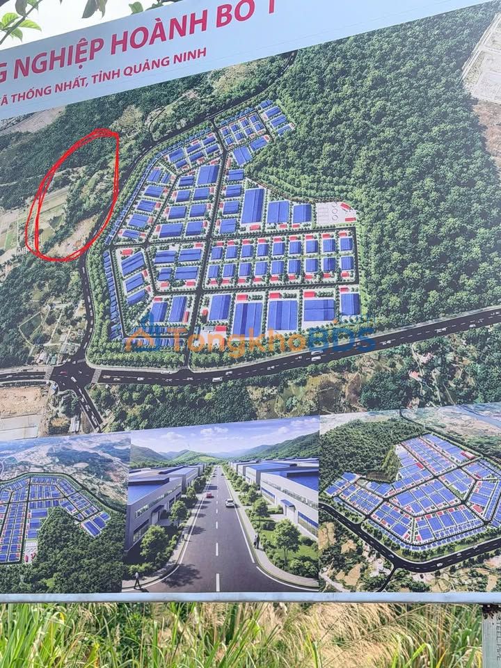 Đất nền Thống Nhất Hạ Long 6000m² giá 6 tỷ - Tiềm năng tăng giá