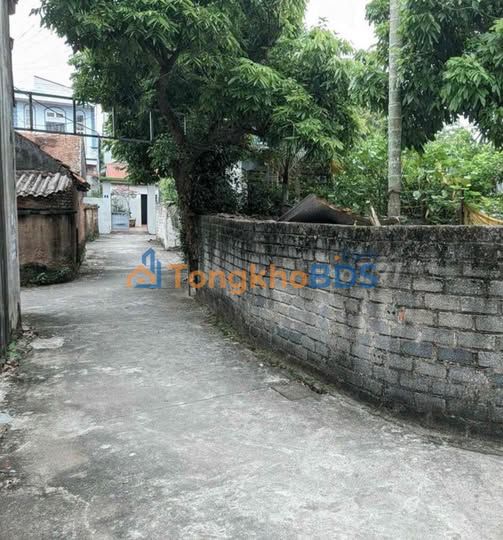 Đất nền Mọc Xá Thanh Oai 120m² - Sổ đỏ chính chủ giá 2.4 tỷ