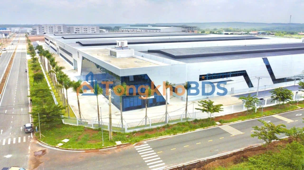 Đất nền Tân Lợi Đồng Phú 250m² - Sổ đỏ chính chủ